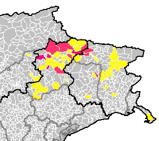 Aggiornamenti sulla diffusione della rabbia nel Nord-Est